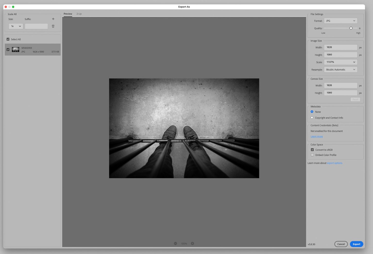 Photoshop export panel
