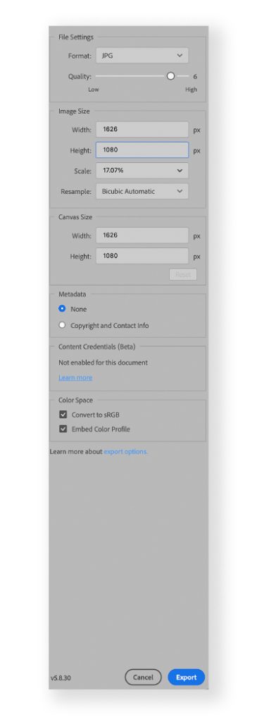 Photoshop export panel closeup